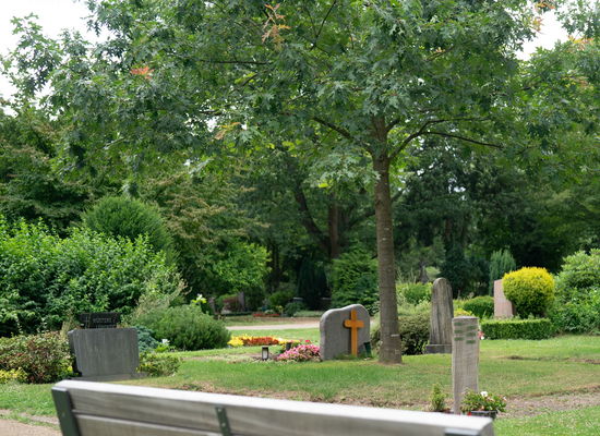 Friedhof Viersen an der Löh, Baumreihengrab